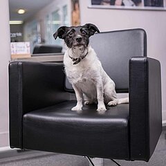 385501421_895864318553490_1991564874563265040_n